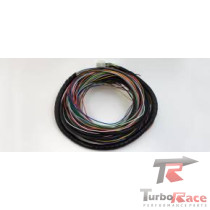 Chicote para RacePRO-1Fi